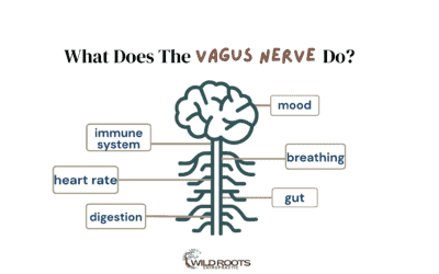 The Vagus Nerve & Autoimmune Conditions: What Your Body’s Been Trying to Tell You